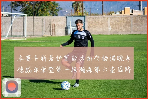 本赛季新秀护筐能力排行榜揭晓考德威尔荣登第一杨瀚森第六奎因跻身前十